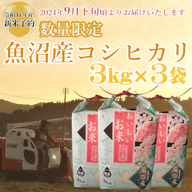 M21P239 【令和6年産 新米予約】《数量限定》令和6年産 魚沼産コシヒカリ3kg×3袋 精米（宮内農園）早期受付 2024年9月下旬頃から発送開始 白米 魚沼 米