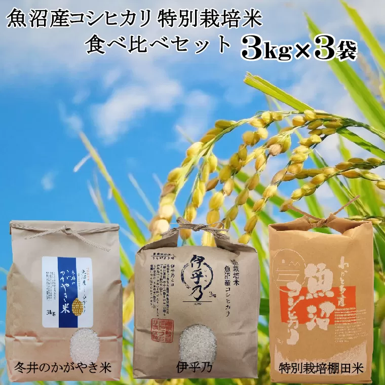23P122 魚沼産コシヒカリ3ｋｇ３袋 特別栽培米食べ比べセット（うちがまき 絆）（アスカ冬井）（Mt.ファームわ かとち）