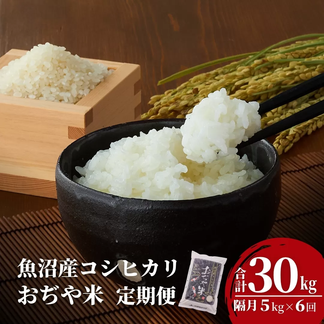 【6か月定期便(隔月発送)】 令和7年産新米 魚沼産コシヒカリ 精米5kg(5kg×1袋)×全6回 ※2025年10月上旬から発送予定 JA魚沼 【0002-JA06DB00-01】