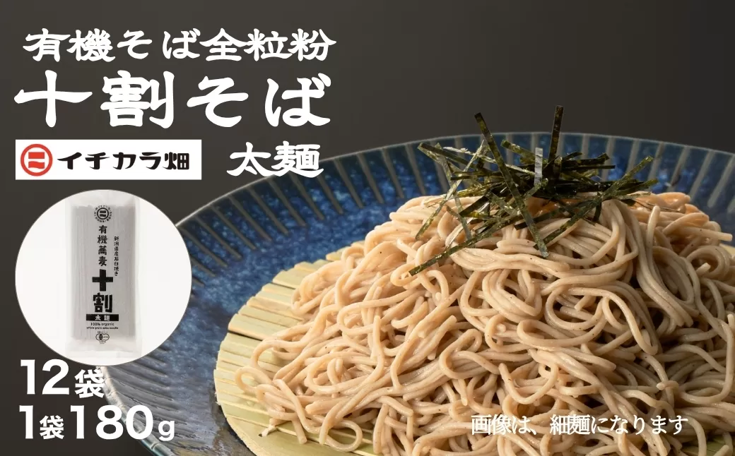 有機そば全粒粉100％使用 グルテンフリー太麺 有機そば 十割 180g×12個セット イチカラ畑 【0021-0011-01】