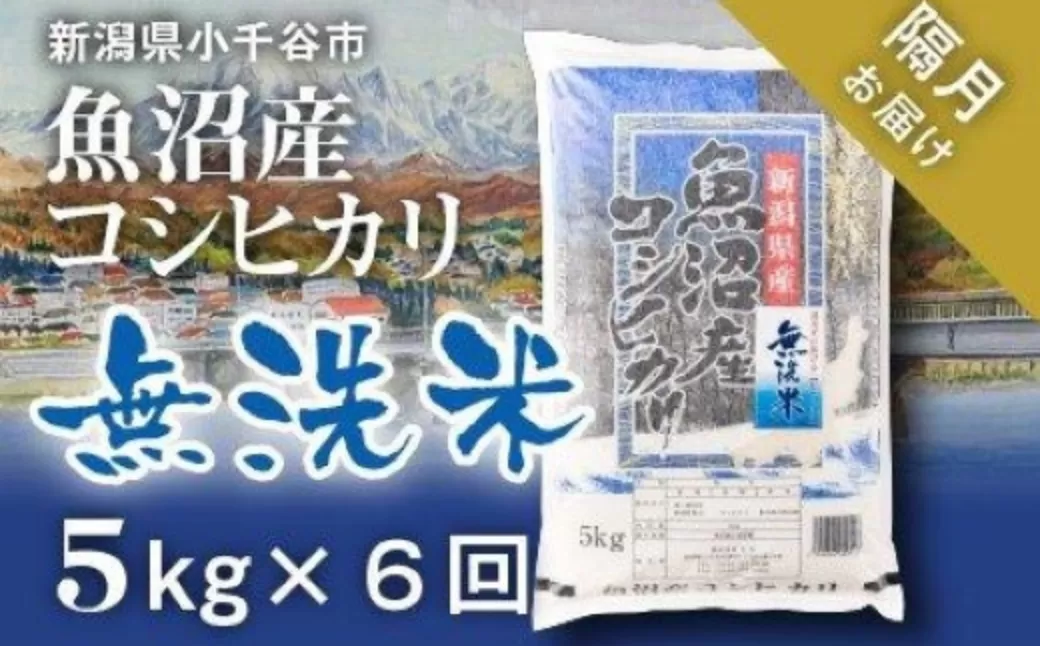 令和7年産 先行予約 魚沼産コシヒカリ 無洗米 定期便5kg×6回 （隔月お届け）米太【0020-KT05DB00-01】