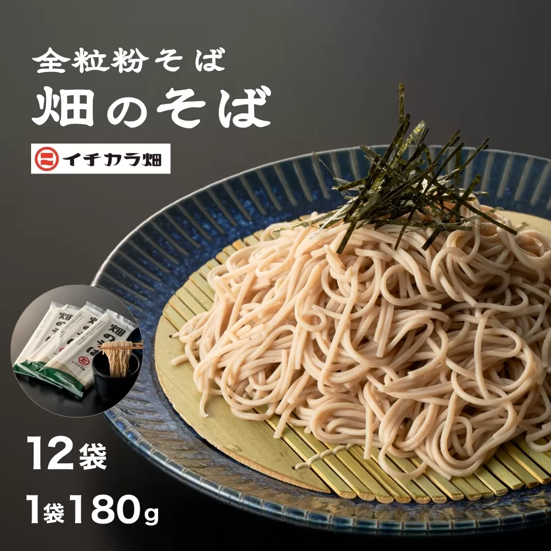【安心の有機JAS認証】全粒粉そば乾麺 「畑のそば」180g×12個セット(オーガニック・無農薬栽培) イチカラ畑 【0021-0001-01】