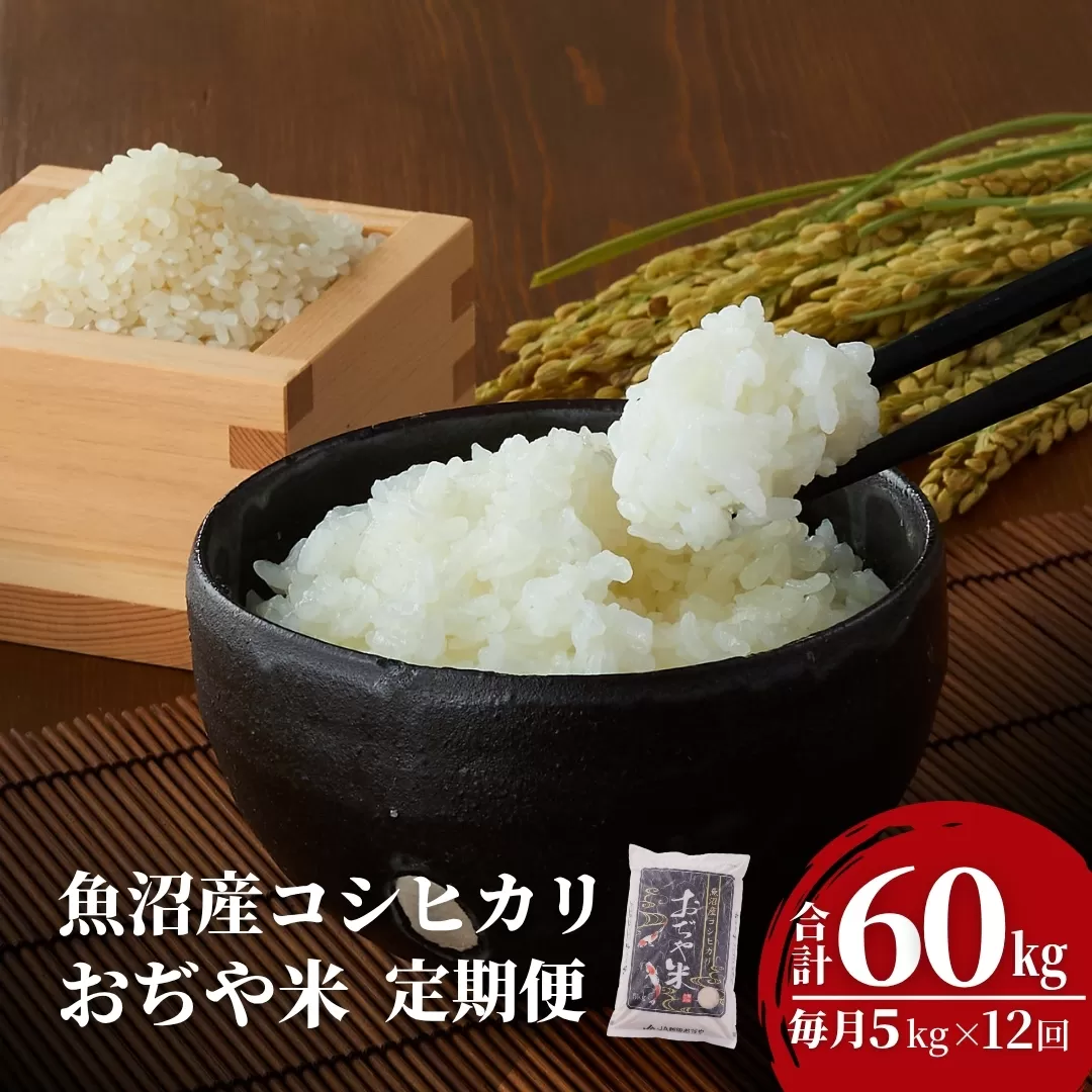 【12か月定期便(毎月発送)】 令和7年産新米 魚沼産コシヒカリ 精米5kg(5kg×1袋)×全12回 ※2025年10月上旬から発送予定 JA魚沼 【0002-JA07DB00-01】
