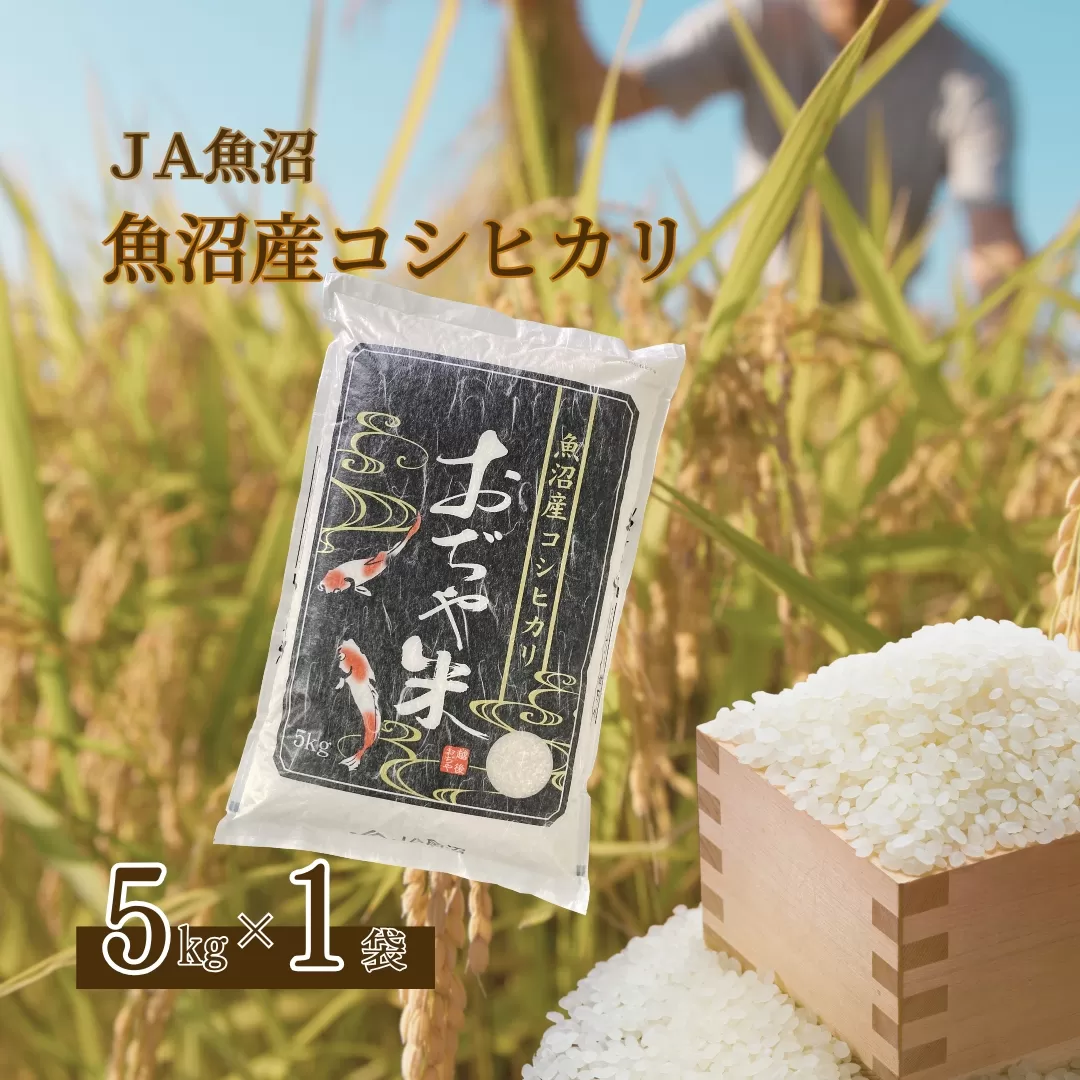 令和7年産 魚沼産コシヒカリ 5kg JA魚沼 【0002-JA02-01】