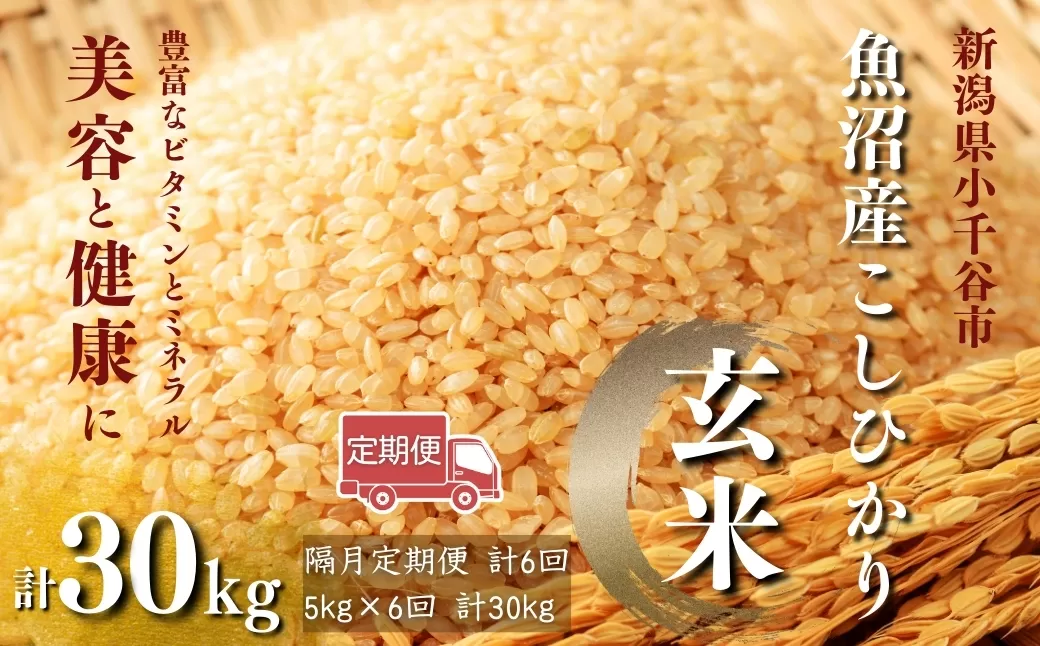 【玄米 選別品】令和7年産 先行予約 魚沼産コシヒカリ 玄米 定期便5kg×6回 (隔月お届け)米太【0020-KT10DB00-01】