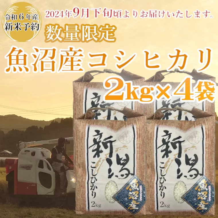 M19P238 【令和6年産 新米予約】《数量限定》令和6年産 魚沼産コシヒカリ2kg×4袋 精米（宮内農園）早期受付 2024年9月下旬頃から発送開始 白米 魚沼 米