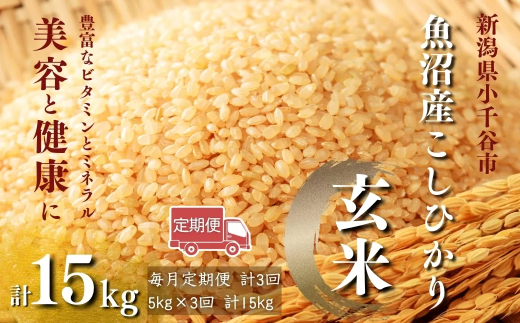 【玄米 選別品】令和7年産 先行予約 魚沼産コシヒカリ 玄米 定期便5kg×3回 (毎月お届け)米太【0020-KT07DB00-01】