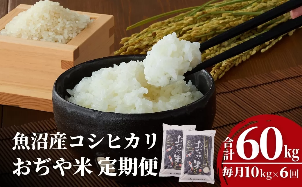 【6か月定期便(毎月発送)】 令和7年産新米 魚沼産コシヒカリ 精米10kg(5kg×2袋)×全6回 ※2025年10月上旬から発送予定 JA魚沼 【0002-JA08DB00-01】