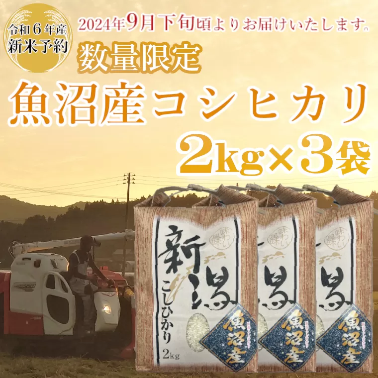 M14P235 【令和6年産 新米予約】《数量限定》令和6年産 魚沼産コシヒカリ2kg×3袋 精米（宮内農園）早期受付 2024年9月下旬頃から発送開始 白米 魚沼 米