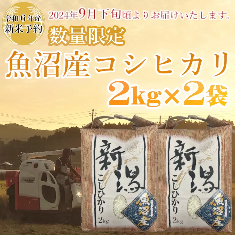 M10P237 【令和6年産 新米予約】《数量限定》令和6年産 魚沼産コシヒカリ2kg×2袋 精米（宮内農園）早期受付 2024年9月下旬頃から発送開始 白米 魚沼 米