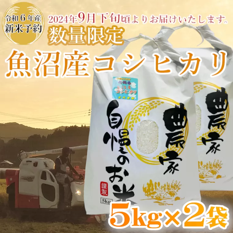 M24P233 【令和6年産 新米予約】《数量限定》令和6年産 魚沼産コシヒカリ5kg2袋 精米（宮内農園）早期受付 2024年9月下旬頃から発送開始 白米 魚沼 米