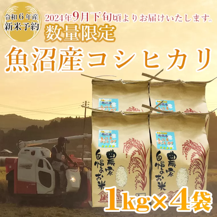 M10P236 【令和6年産 新米予約】《数量限定》令和6年産 魚沼産コシヒカリ1kg×4袋 精米（宮内農園）早期受付 2024年9月下旬頃から発送開始 白米 魚沼 米