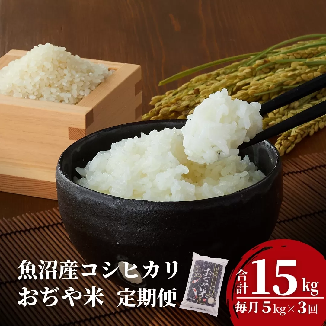 【3か月定期便(毎月発送)】 令和7年産新米 魚沼産コシヒカリ 精米5kg(5kg×1袋)×全3回 ※2025年10月上旬から発送予定 JA魚沼 【0002-JA04DB00-01】