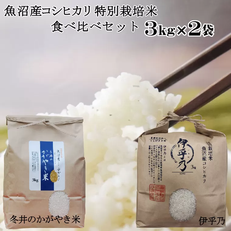 16P3 魚沼産コシヒカリ3ｋｇ2袋 特別栽培米食べ比べセット（うちがまき 絆）（アスカ冬井）