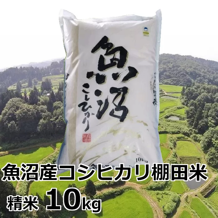 S27P514 【先行予約】【令和7年産 新米】魚沼産コシヒカリ棚田米 白米10kg 佐藤農場 ※2025年9月下旬以降より順次発送予定