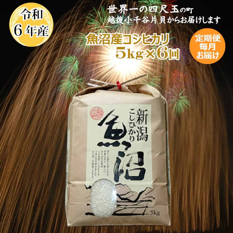 K100P490 ＜令和6年産＞魚沼産コシヒカリ定期便 5kg×6回（毎月お届け）【(有)米萬商店】世界一の四尺玉の町片貝町 白米 魚沼 米 定期便