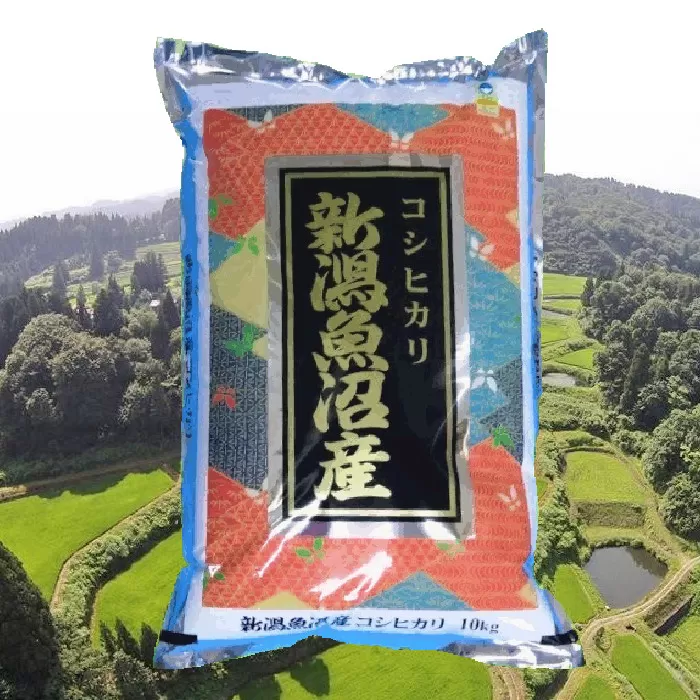 S25P525 【先行予約】【令和7年産 新米】魚沼産コシヒカリ棚田米 玄米10kg 佐藤農場 ※2025年9月下旬以降より順次発送予定