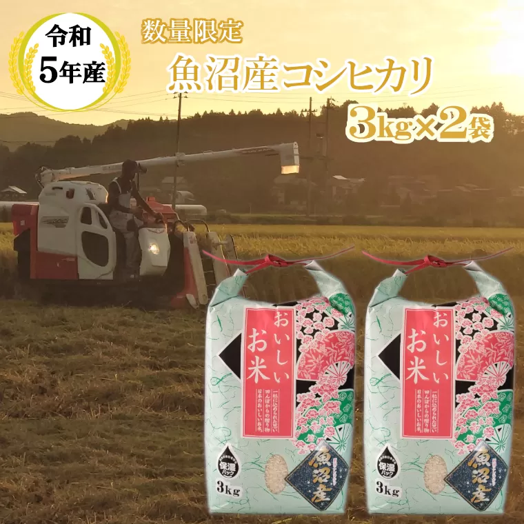 M14P234 【令和6年産 新米予約】《数量限定》令和6年産 魚沼産コシヒカリ3kg2袋 精米（宮内農園）早期受付 2024年9月下旬頃から発送開始 白米 魚沼 米