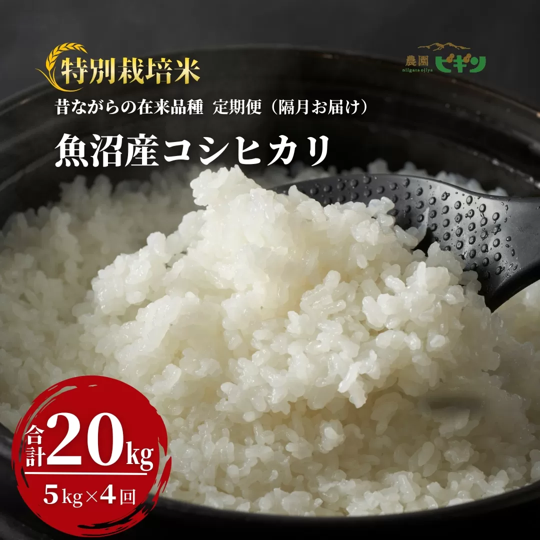 令和7年産 昔ながらの魚沼産コシヒカリ 精米20kg(5kg×隔月全4回) 農園ビギン【0002-BN11DB00-01】