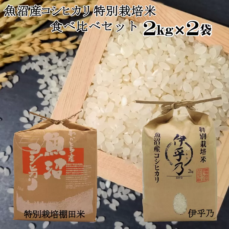 11P2 魚沼産コシヒカリ2ｋｇ2袋 特別栽培米食べ比べセット（Mt.ファーム わかとち）（うちがまき絆）