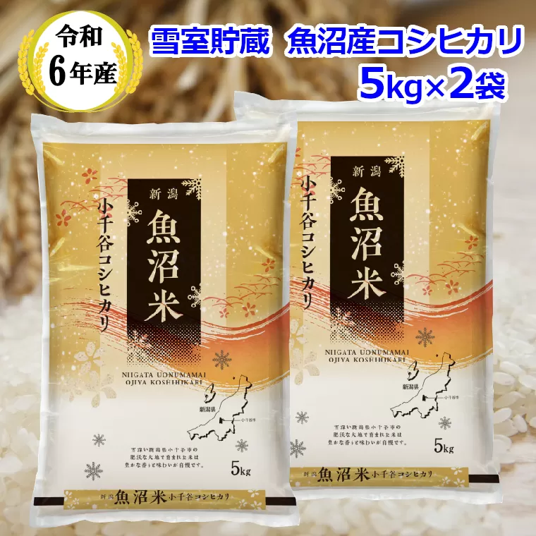 ki27P365 【令和6年産】雪室貯蔵 魚沼産コシヒカリ5kg×2袋 魚沼 米