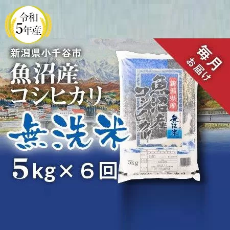 r05-60-2KT 令和5年産 無洗米 魚沼産コシヒカリ定期便5kg×6回（毎月お届け）（米太）