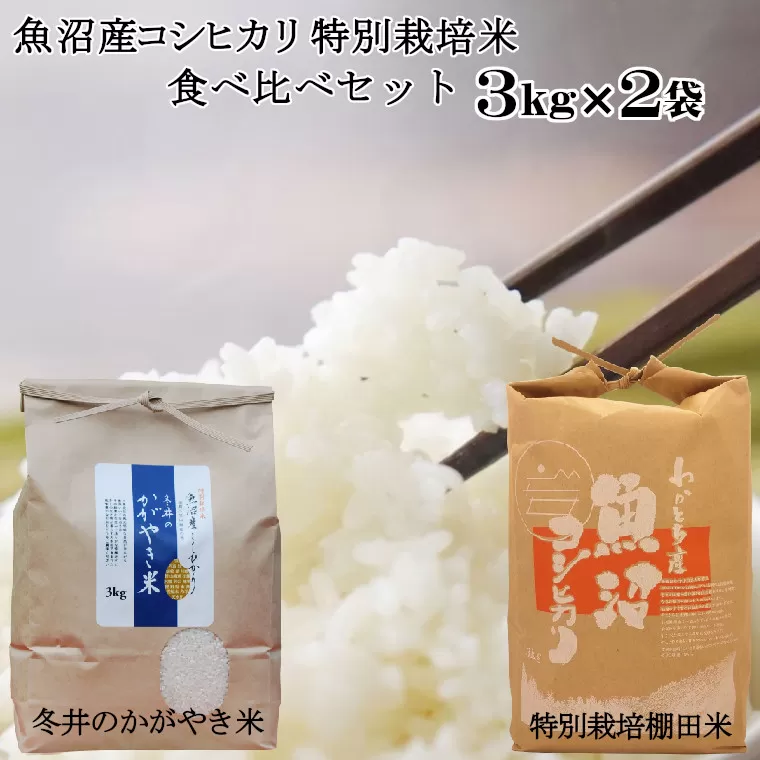 16P55 魚沼産コシヒカリ3ｋｇ2袋 特別栽培米食べ比べセット（Mt.ファーム わかとち）（アスカ冬井）