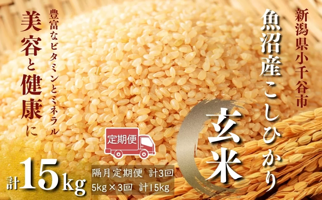 【玄米 選別品】令和7年産 先行予約 魚沼産コシヒカリ 玄米 定期便5kg×3回 (隔月お届け)米太【0020-KT08DB00-01】