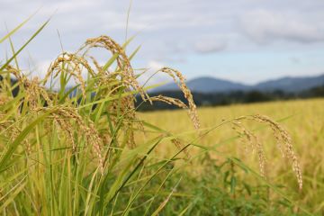 産業に関する事業