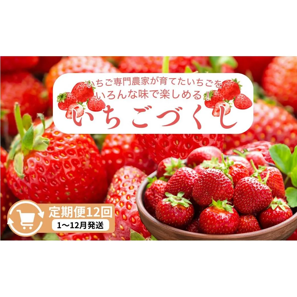 定期便 12回【1～12月発送】いちごづくし定期配送 苺 いちご 冷凍いちご いちごアイス シャーベット ジャム