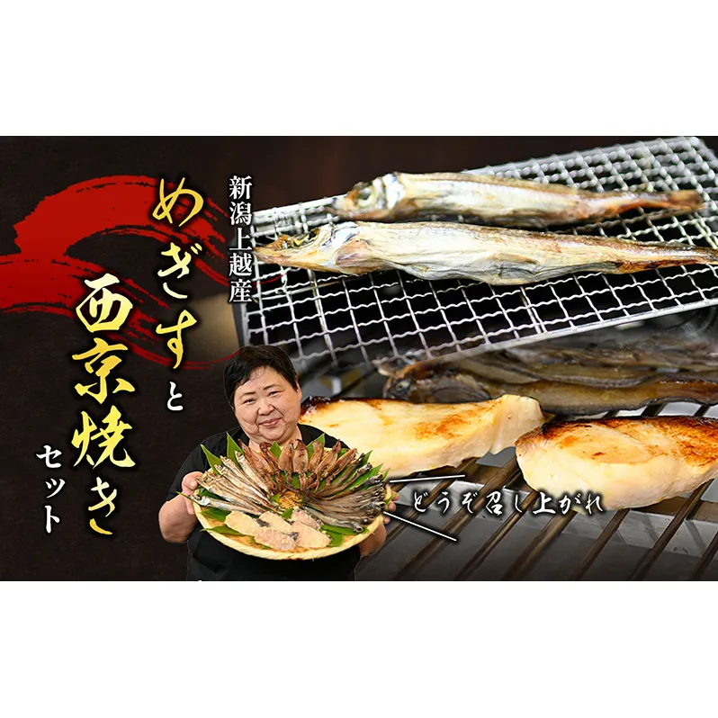 メギスと旬魚の西京漬けセット　メギス 旬魚 魚 西京漬け 西京漬 セット 干物 海産物 個装包装 新潟県 上越市
