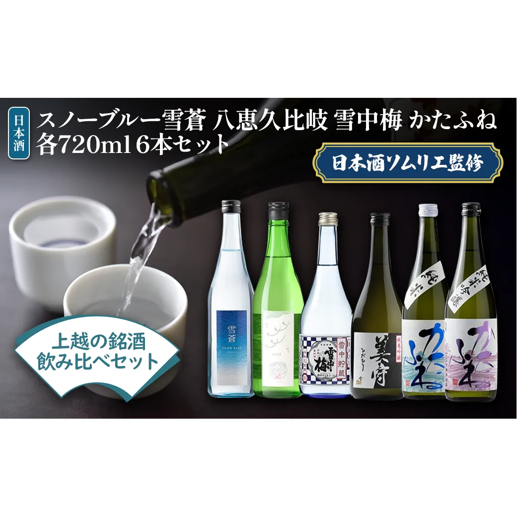 日本酒 スノーブルー雪蒼 八恵久比岐 雪中梅 かたふね 720ml 6本 セット お酒 おすすめ 酒 ふるさと納税 新潟 新潟県産 にいがた 上越 上越産