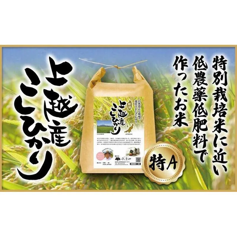 米 上越産 こしひかり 5kg お米 コメ おこめ コシヒカリ 新潟 新潟県産 にいがた 上越