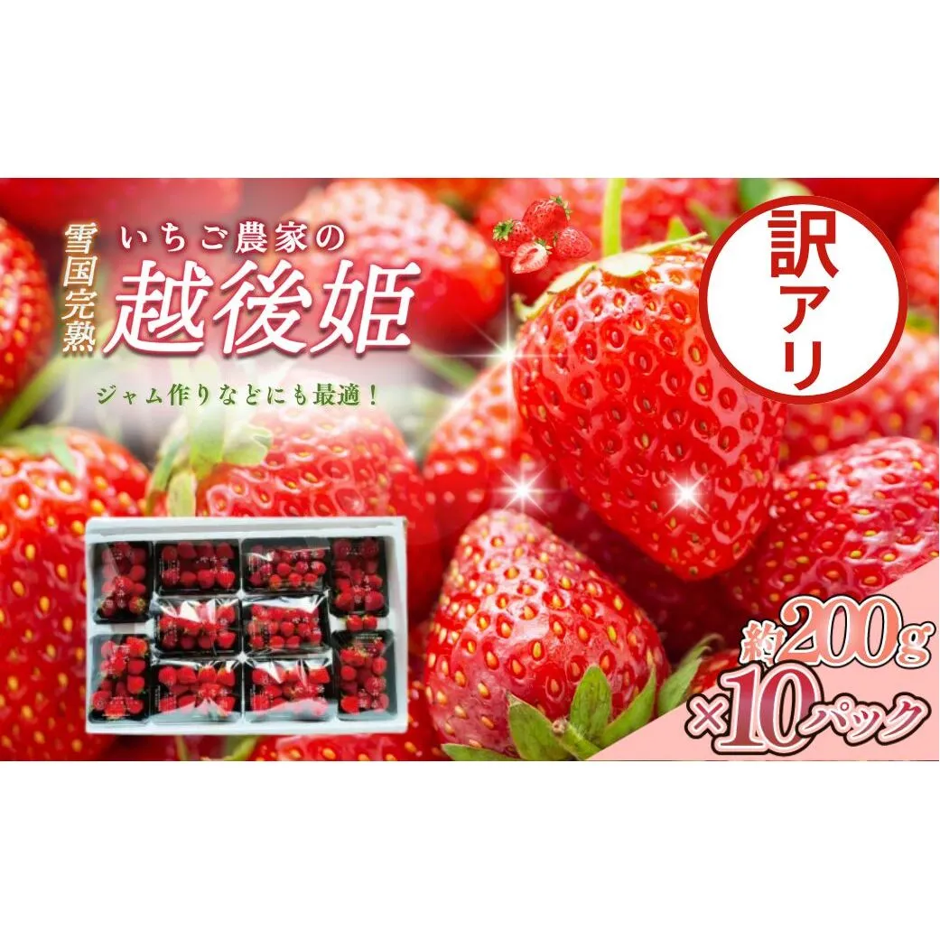 先行予約  いちご 訳あり 越後姫 約200g×10パック セット イチゴ 苺 苺の花ことば