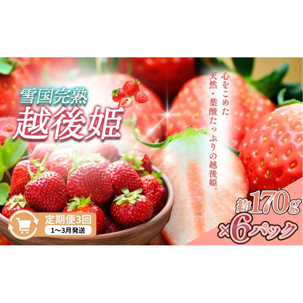 先行予約  定期便 3回【1～3月発送】雪国完熟いちご越後姫 170g×6全3回 定期配送 越後姫 いちご 定期便 完熟 苺 新潟 苺の花ことば