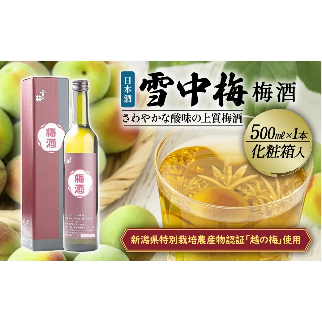 雪中梅 梅酒 500ml 化粧箱入｜酒 お酒 贈答 プレゼント 贈り物 おすすめ ふるさと納税 人気 新潟 新潟県産 にいがた 上越 上越産 地酒の店かじや