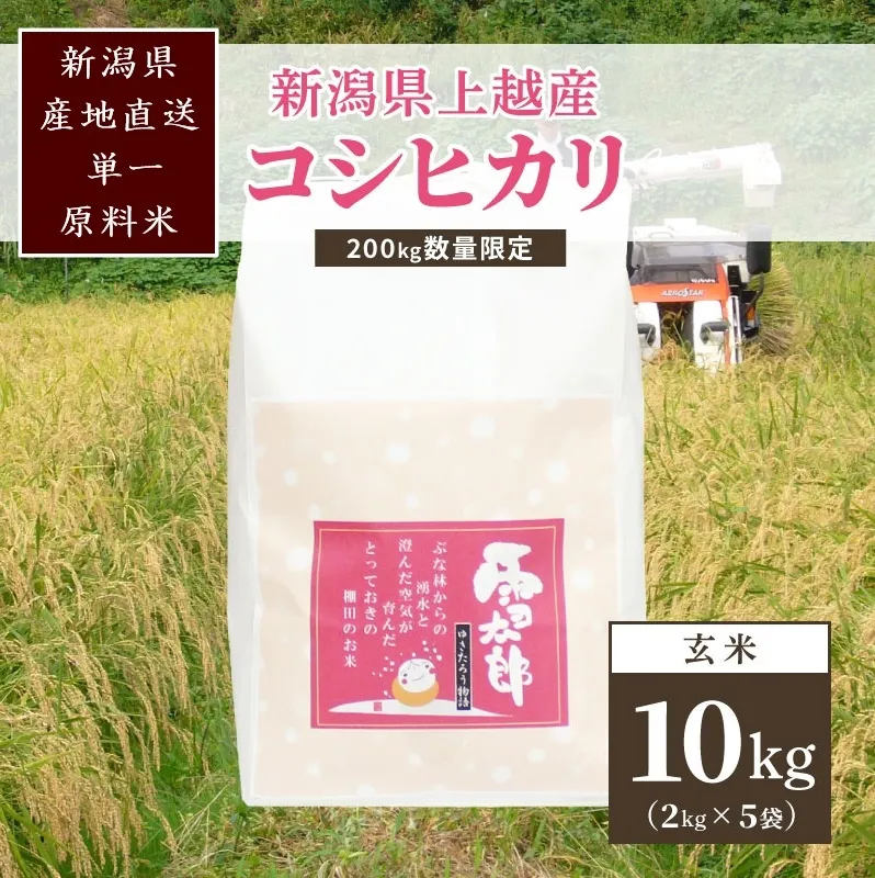 【数量限定】令和7年/新潟上越産「標高480mの山間地で育てた棚田米コシヒカリ」玄米10kg