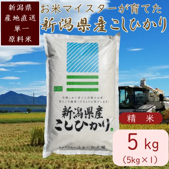 令和7年産 お米マイスターが育てた上越産コシヒカリ5kg (5kg×1)白米　精米
