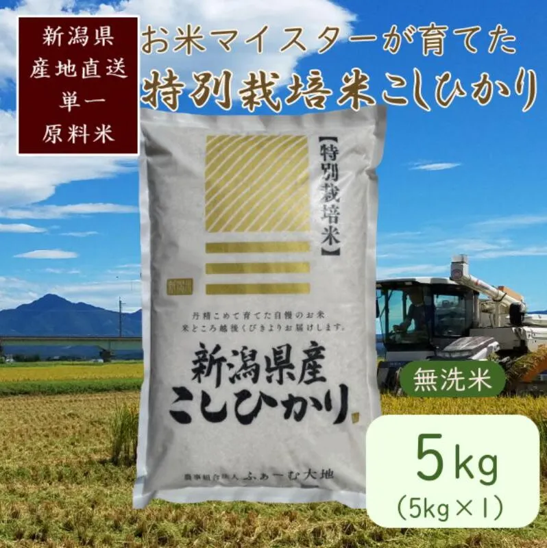 お米マイスターが育てた特別栽培米 精米コシヒカリ 上越産 令和7年産 5kg(5kg×1袋)無洗米
