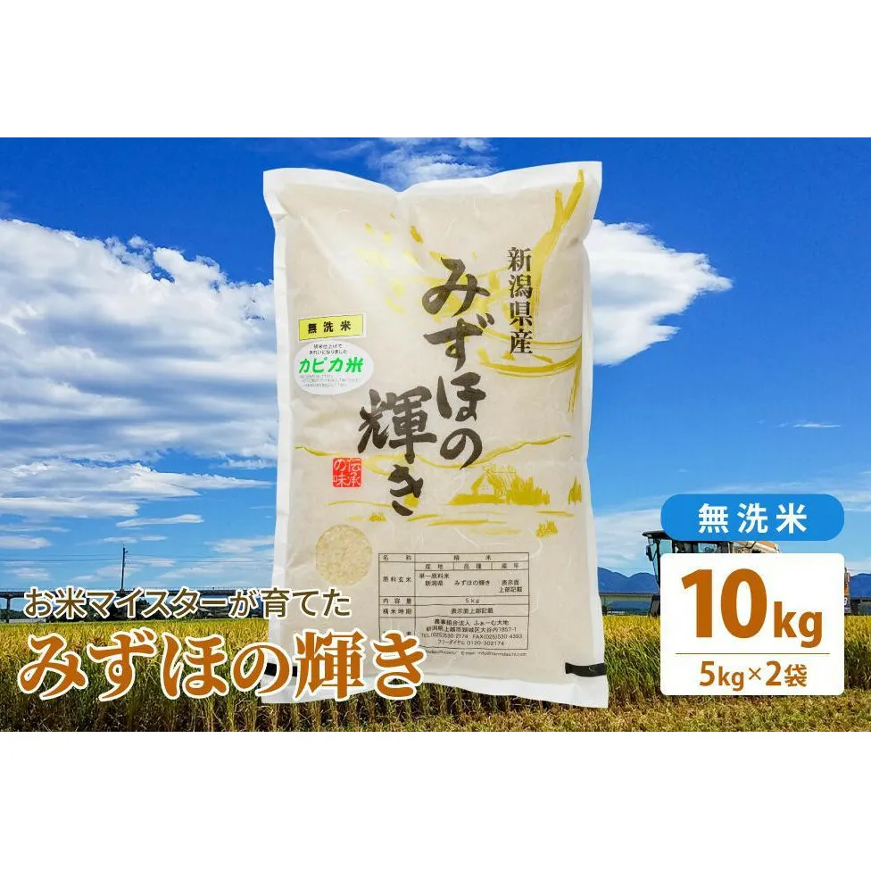 令和7年産 お米マイスターが育てた上越産みずほの輝き10kg(5kg×2)無洗米
