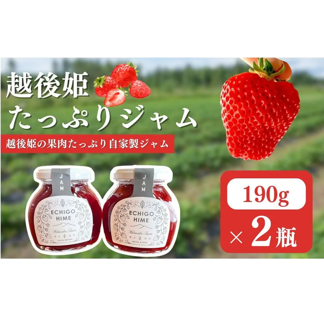 いちご 越後姫 ジャム 190g×2個 からだよろこぶ越後姫 イチゴ 苺 定植後化学農薬不使用 渡辺農園 上越市 新潟県