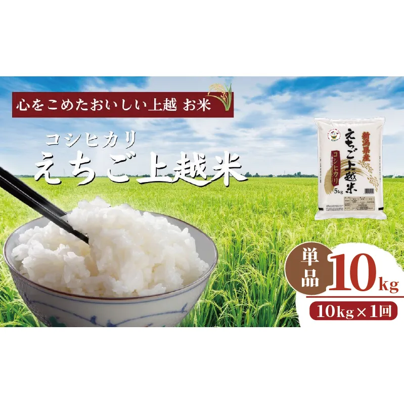 【えちご上越米】令和7年産 新潟県上越産 コシヒカリ 10kg 10キロ 精米 こしひかり JAえちご上越