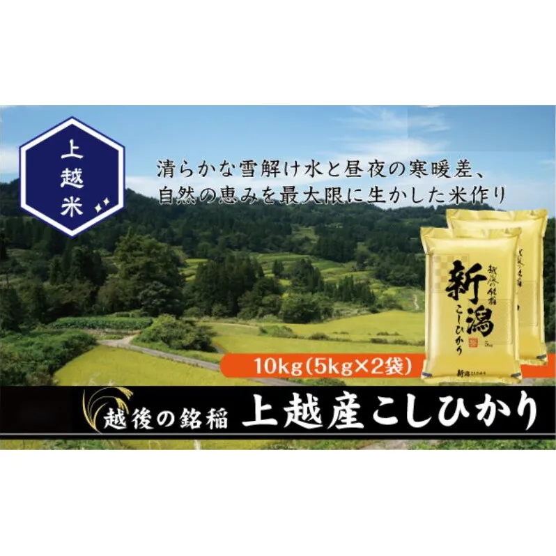 令和7年産 新潟県上越産こしひかり 精米 10kg 上越市 米 コメ コシヒカリ