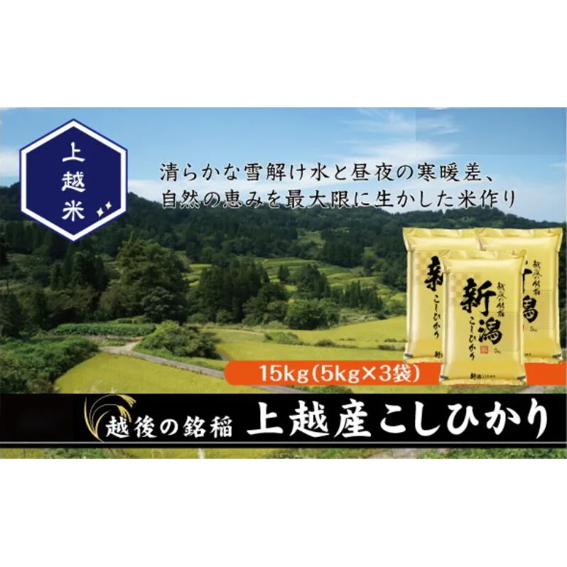 令和7年産 新潟県上越産こしひかり 精米 15kg 上越市 米 コメ コシヒカリ