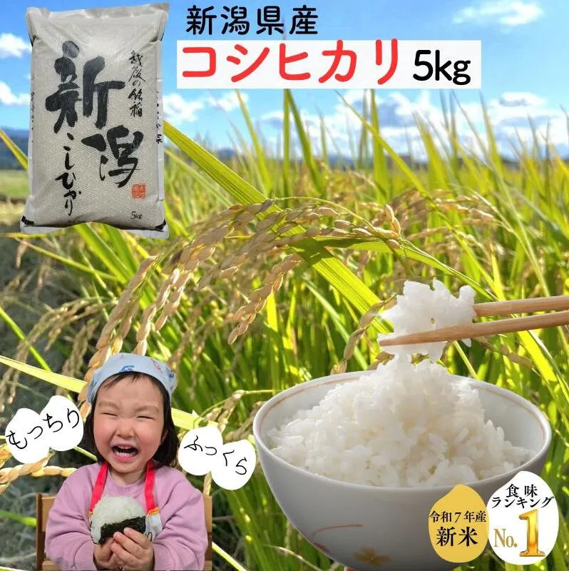 令和7年 新潟県産コシヒカリ 5kg 5キロ 白米 精米 送料無料 上越市 米ヴィレッジさんわ 低温貯蔵 品質管理徹底