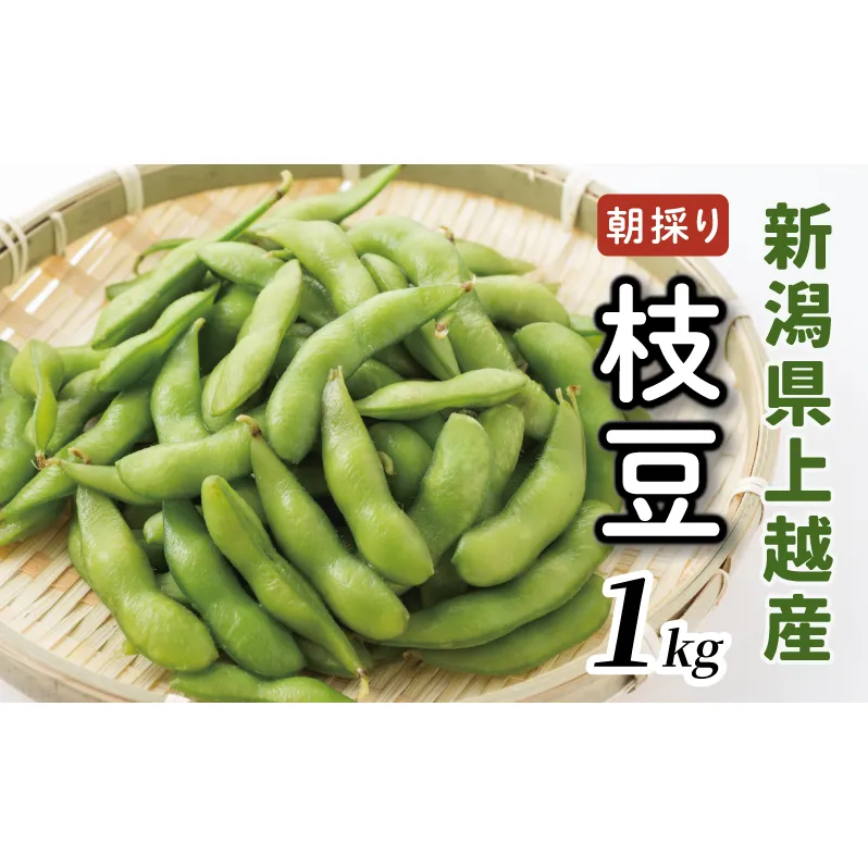 【数量限定】朝採りを産地から当日発送！ 新潟上越「高田圃場」の採れたて枝豆 たっぷり1kg 上越市 えだまめ
