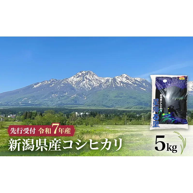【令和7年産 コシヒカリ】新潟県産コシヒカリ 5kg 上越市 米 こめ コメ お取り寄せ