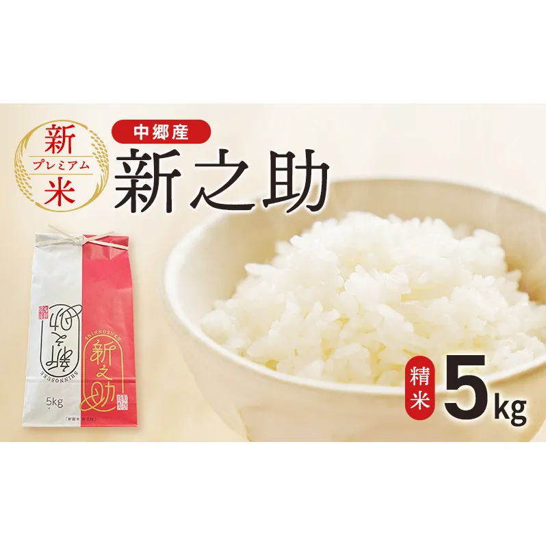 令和7年 新潟県 上越市産 新之助 5kg やまざきふぁーむ 送料無料　精米 5キロ お米 コメ 白米 上越市 中郷区 中郷産