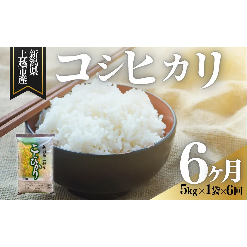 【1月上旬より配送】令和8年（新米） 新潟県上越市産 コシヒカリ 5kg 6か月定期便 無洗米 こしひかり お米 精米 米 ご飯 定期 五つ星お米マイスター 大黒屋商店