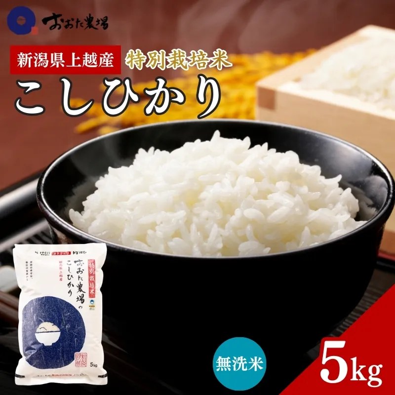 令和7年産 新潟県上越産 特別栽培米 コシヒカリ 【無洗米】 5kg 5キロ 従来品種 こしひかり おおた農場 上越市